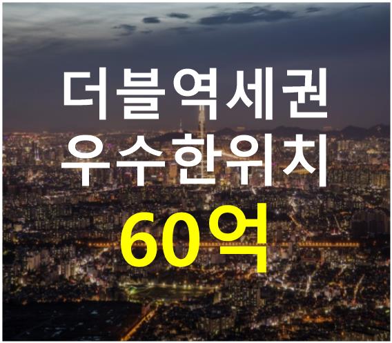 서울 서초구 서초동 더블역세권. 접근성 용이. 매매 매물번호 12312 사진 1
