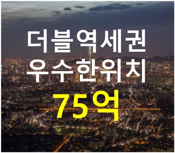 서울 서초구 양재동 더블역세권. 접근성 용이. 매매 매물번호 12317 사진 1
