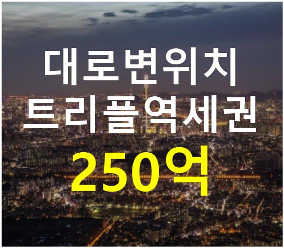 서울 강남구 삼성동 트리플역세권. 대로변위치. 매매 매물번호 12415 사진 1