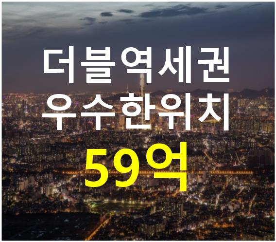 서울 강남구 역삼동 더블역세권. 유동인구 많음. 매매 매물번호 12488 사진 1