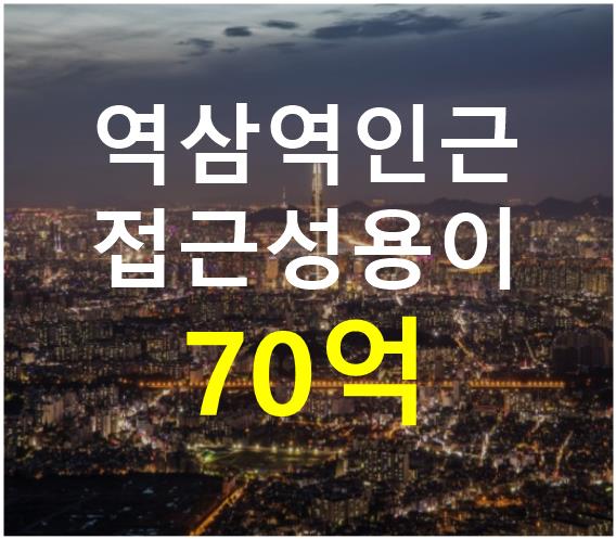 서울 강남구 역삼동 역삼역 인근. 접근성 용이. 매매 매물번호 12495 사진 1